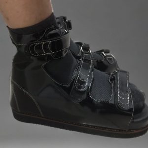 WhatsApp Image 2024-10-11 at 10.53.08